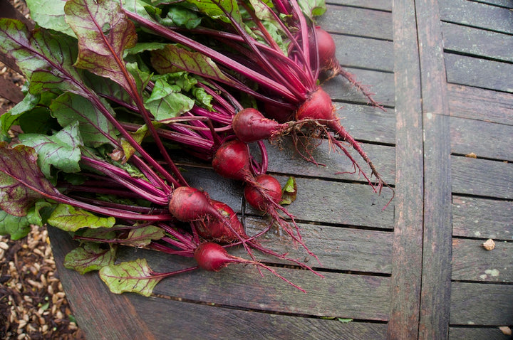 Their Dietary Nitrates Improve Cardiac Function (Beet Root Juice and Three-Beet Powder))