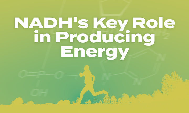 NADH's Key Role in Producing Energy